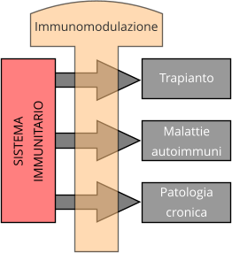 Immonomodulazione del sistema immunitario